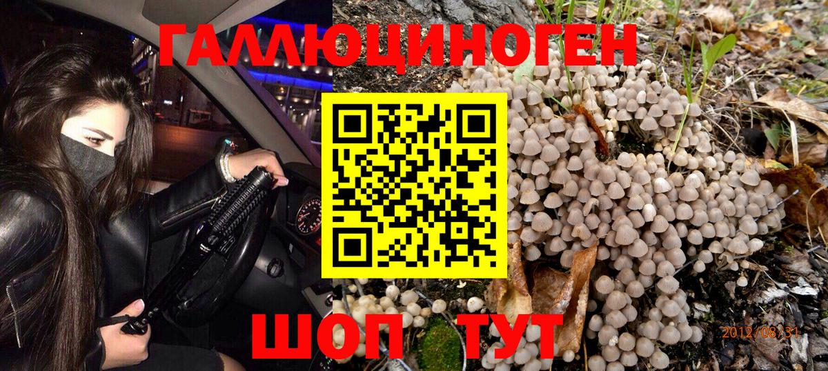 Галлюциногенные грибы Psilocybe  Вход с VPN  Кашира 