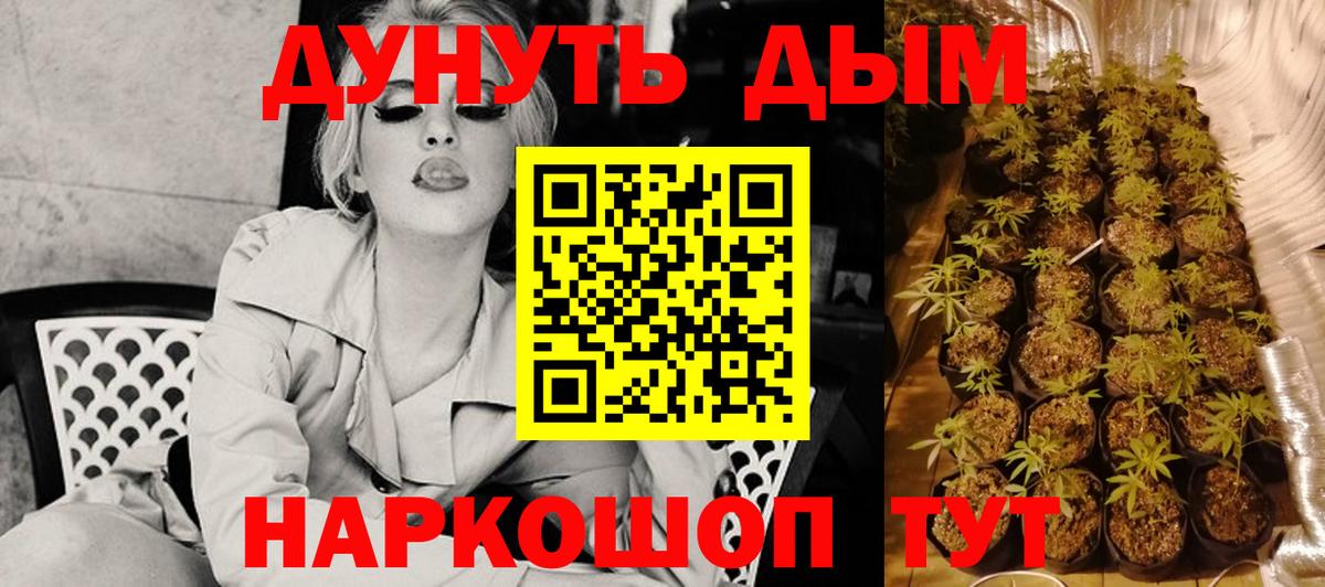 Каннабис VHQ Кашира